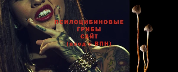 стаф Алексеевка