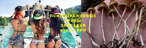 первитин Каменка