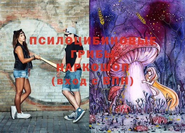 стаф Алексеевка